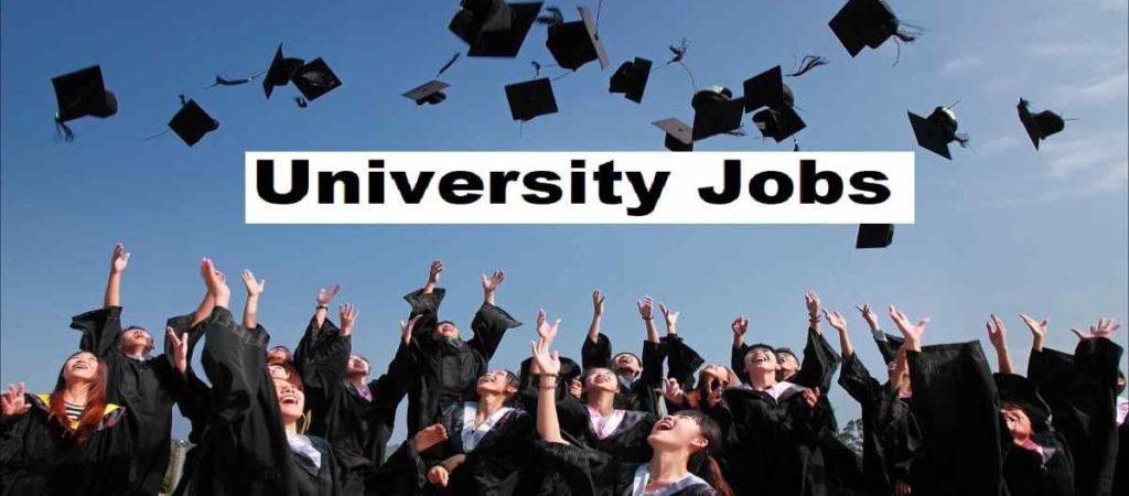 University-Jobs